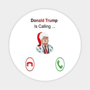 DONALD TRUMP Magnet